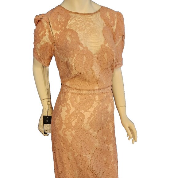 Tadashi Shoji Dresses & Skirts - BNWT Unworn Size 6 Tadashi Shoji Petal Blush Pink Lace Midi Dress
